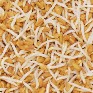 Fenugreek Sprouting Seeds - 100g